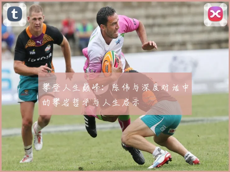 攀登人生巅峰：陈伟与深度对话中的攀岩哲学与人生启示