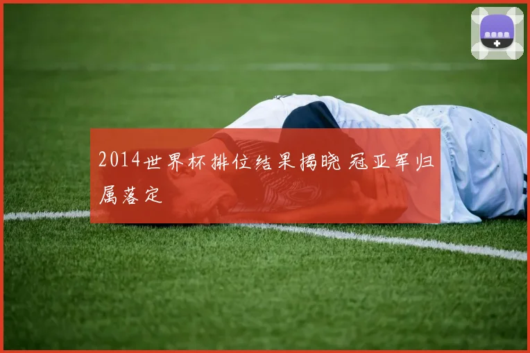 2014世界杯排位结果揭晓 冠亚军归属落定